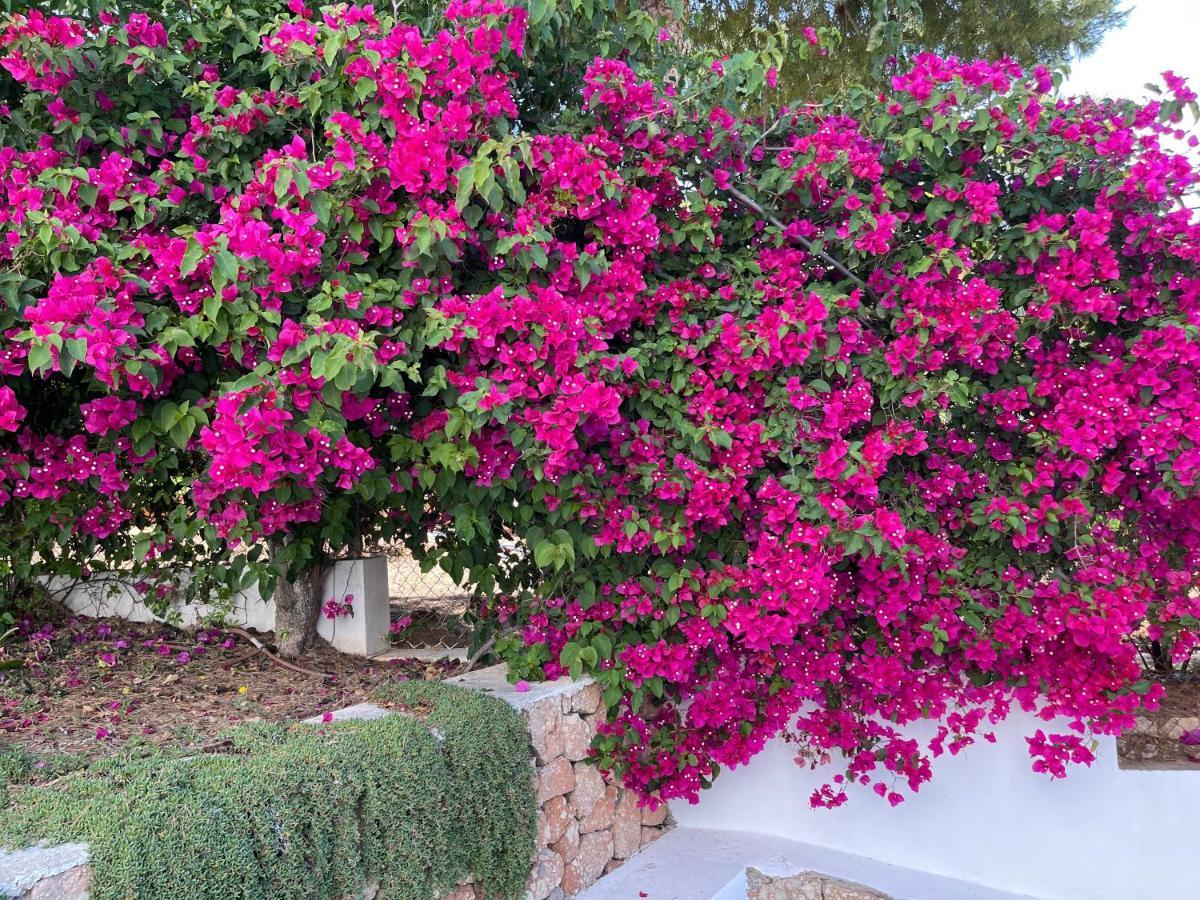 Es Queixal - Can Canet Con Piscina Exterior Climatizada Cala Vadella  Eksteriør billede